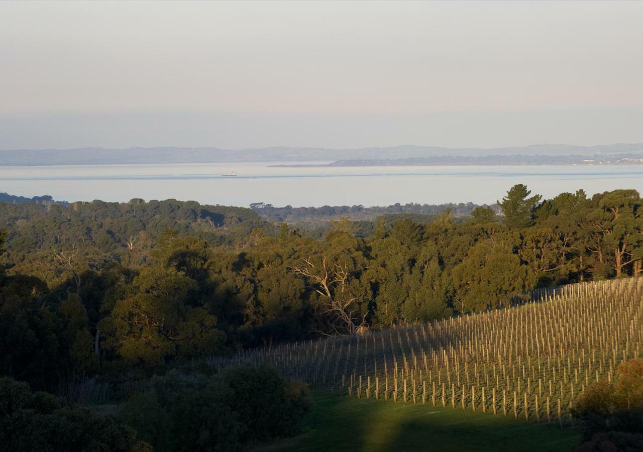 فندق Port Phillip Estate Red Hill South المظهر الخارجي الصورة