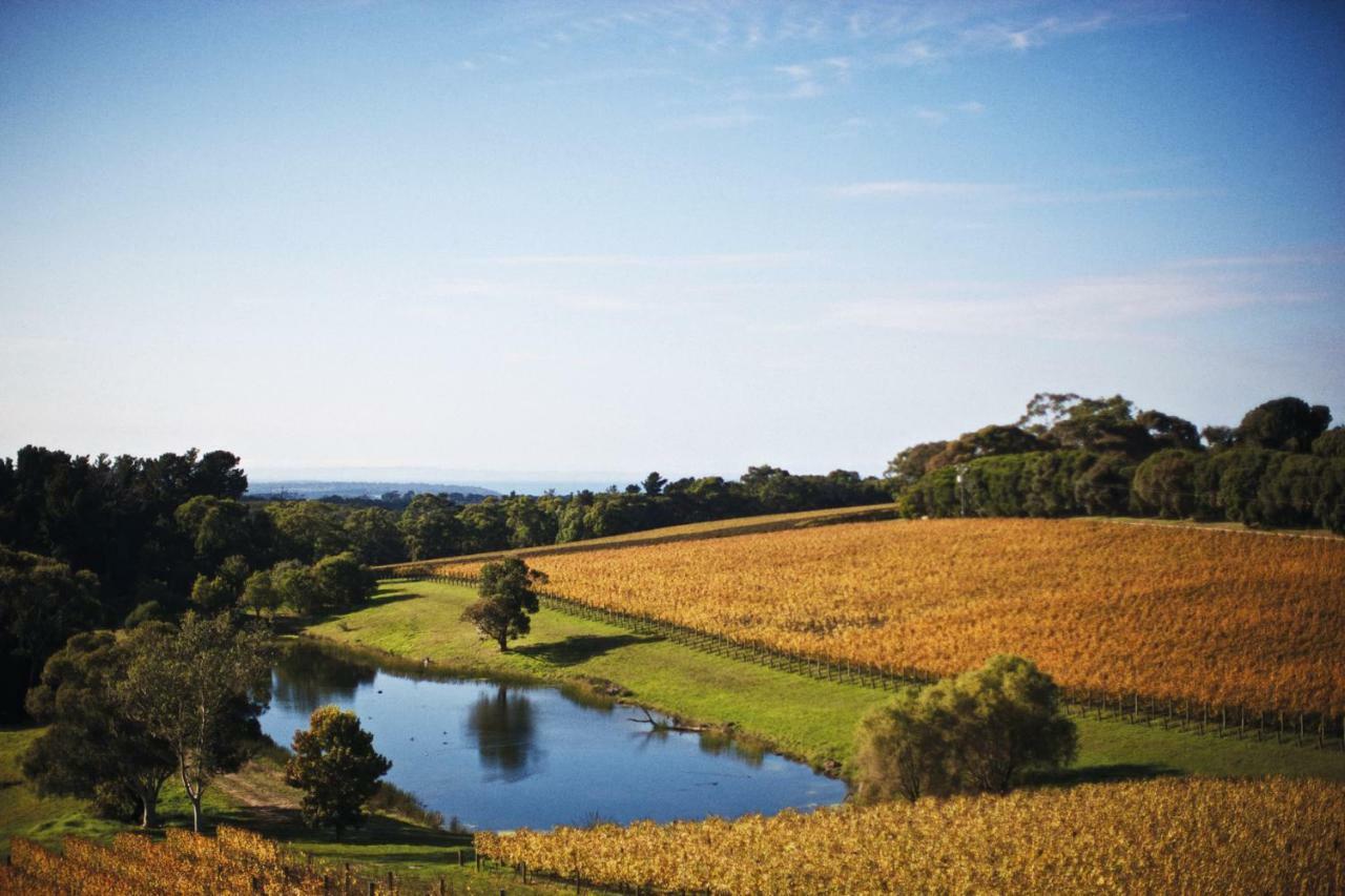 فندق Port Phillip Estate Red Hill South المظهر الخارجي الصورة